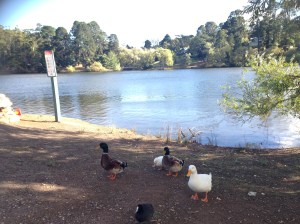 The Boathouse view comes with friends